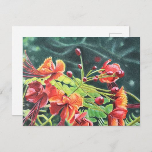 Carte Postale Ohai Alii (Devant / Derrière)