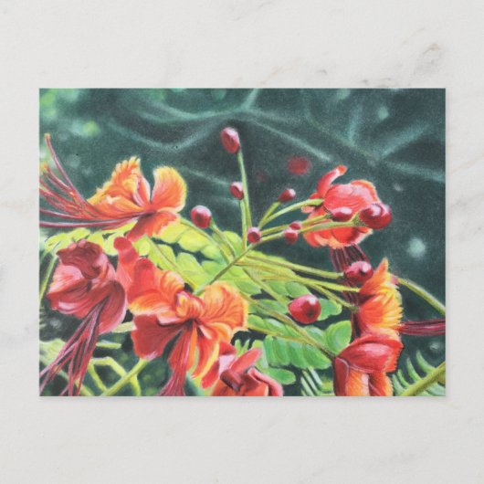 Carte Postale Ohai Alii (Devant)