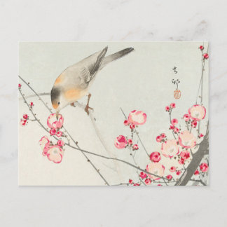 Carte Postale ohara koson's Japanese painting postcard,小原古邨の日本画