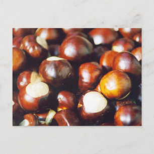 Carte Postale Ohio Buckeyes