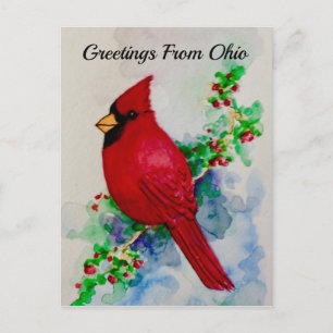 Carte Postale Ohio Cardinal State Birries Aquarelle