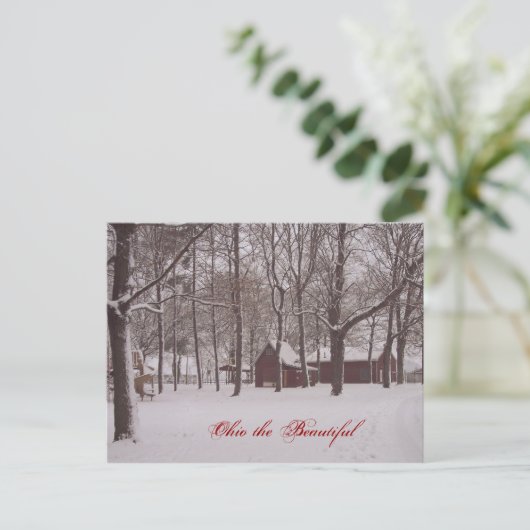 Carte Postale Ohio le beau (Debout devant)