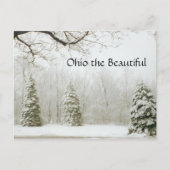 Carte Postale Ohio le Beau, 15 (Devant)
