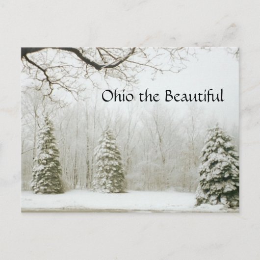 Carte Postale Ohio le Beau, 15 (Devant)