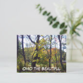 Carte Postale Ohio le Beau, 25 (Debout devant)