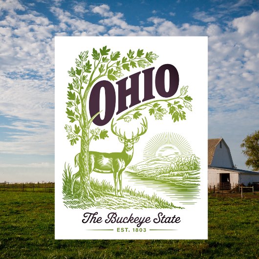 Carte Postale Ohio The Buckeye State Est. 1803 Travel