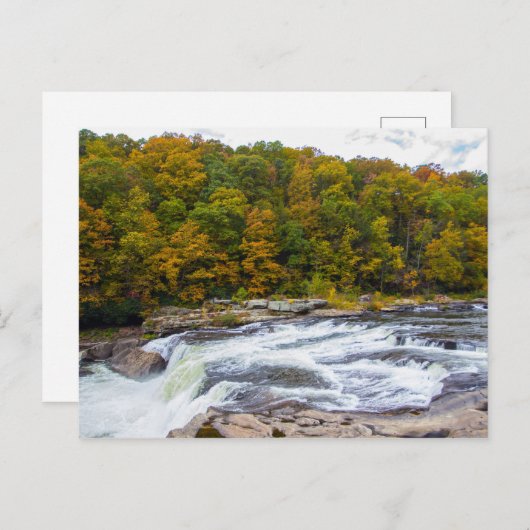 Carte Postale Ohiopyle Falls, Pennsylvanie (Devant / Derrière)
