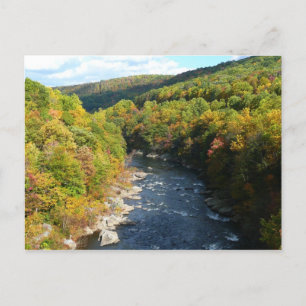 Carte Postale Ohiopyle River à l'automne I Pennsylvanie Automne