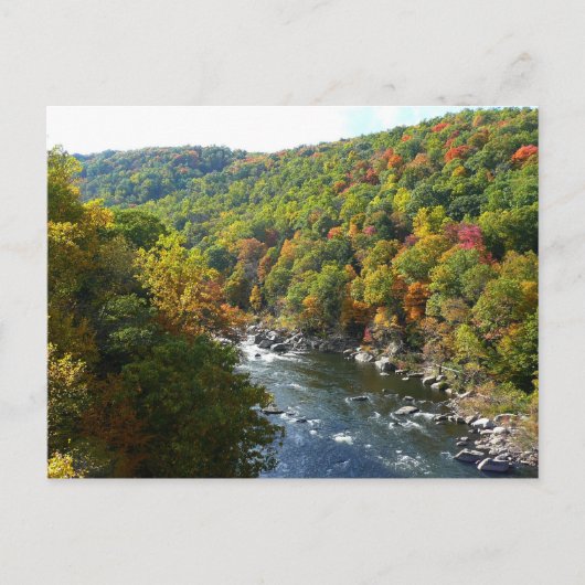 Carte Postale Ohiopyle River à l'automne II Pennsylvanie Automne (Devant)