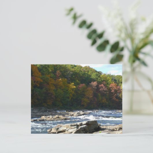 Carte Postale Ohiopyle River Rapids à l'automne Pennsylvanie Aut (Debout devant)