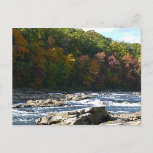 Carte Postale Ohiopyle River Rapids à l'automne Pennsylvanie Aut (Devant)