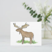 Carte Postale Oie (Debout devant)