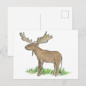 Carte Postale Oie (Devant / Derrière)