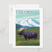 Carte Postale Oie avec MountainColorado (Devant / Derrière)