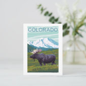 Carte Postale Oie avec MountainColorado (Debout devant)