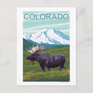 Carte Postale Oie avec MountainColorado