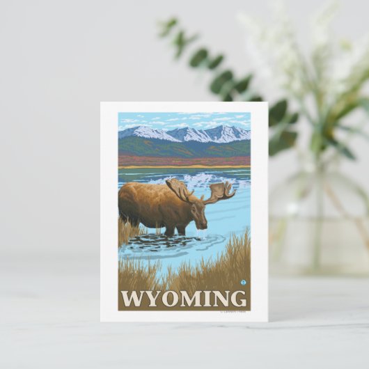 Carte Postale Oie boit au lac - Wyoming (Debout devant)