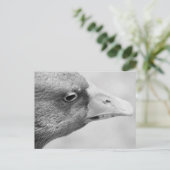 Carte Postale Oie BW (Debout devant)