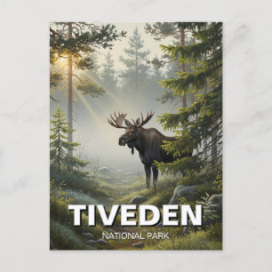 Carte Postale Oie dans le parc national de Tiveden Suède Voyage