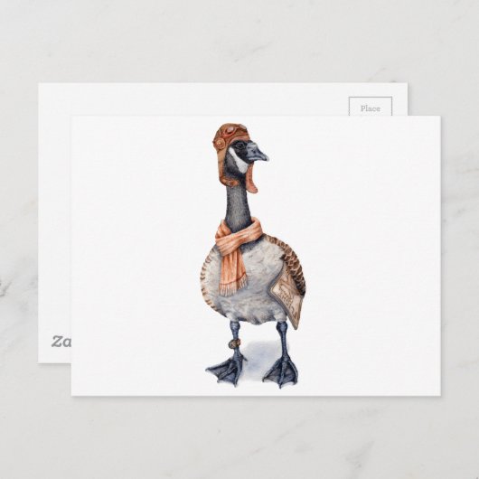 Carte Postale Oie d'avion (Devant / Derrière)