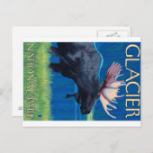 Carte Postale Oie de nuit - Parc national des Glaciers, MT (Devant / Derrière)