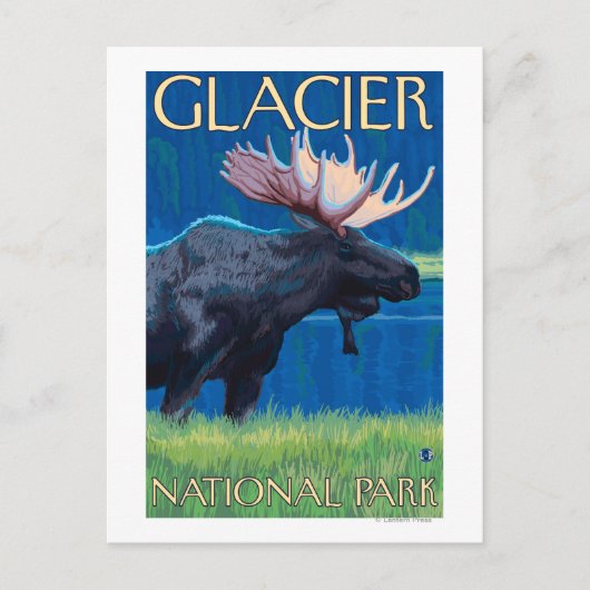 Carte Postale Oie de nuit - Parc national des Glaciers, MT (Devant)