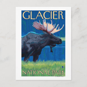 Carte Postale Oie de nuit - Parc national des Glaciers, MT