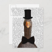 Carte Postale Oie distinguée 2 (Devant / Derrière)