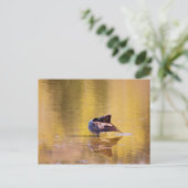 Carte Postale Oie d'or (Debout devant)