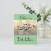 Carte Postale Oie du Canada (Debout devant)