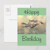 Carte Postale Oie du Canada (Devant / Derrière)