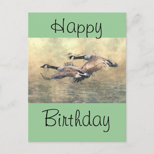 Carte Postale Oie du Canada (Devant)