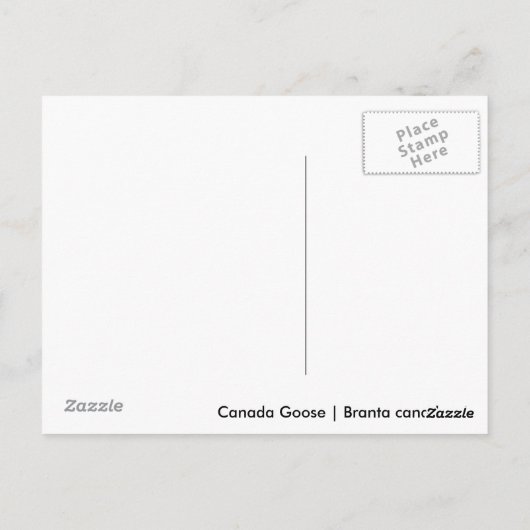 Carte Postale Oie du Canada (Dos)