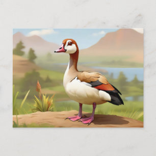 Carte Postale Oie égyptienne par eau