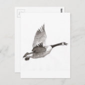 Carte Postale Oie en vol (Devant / Derrière)