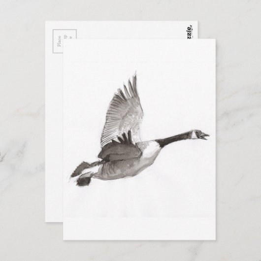 Carte Postale Oie en vol (Devant / Derrière)