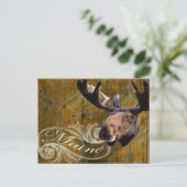 Carte Postale Oie grunge (Debout devant)