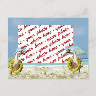 Carte Postale Oie sur le cadre photo de vacances