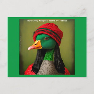 Carte Postale Oie volante jamaïcaine de reggae mangouste oie drô