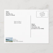 Carte Postale Oies au Mighty Mac Merci (Dos)