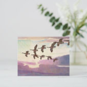 Carte Postale Oies du Canada au printemps par Newell Convers Wye (Debout devant)