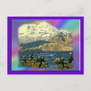 Carte Postale Oies empereurs sur la baie de Chiniak près de Chin