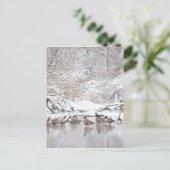 Carte Postale Oies en Neige (Debout devant)