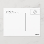 Carte Postale Oies En Poudre (Dos)