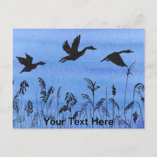 Carte Postale Oies en vol (Devant)