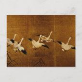 Carte Postale Oies sauvages (Devant)