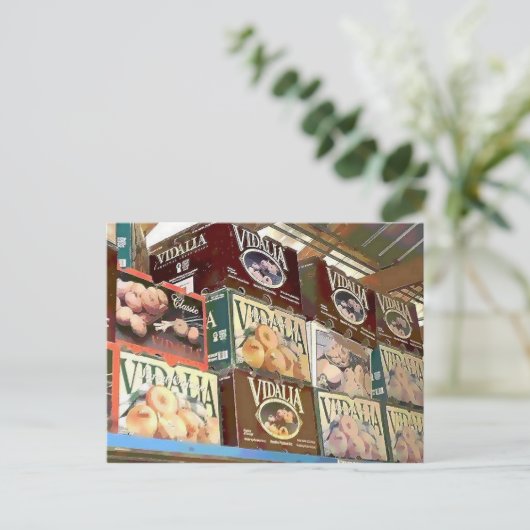 Carte Postale Oignon (Debout devant)