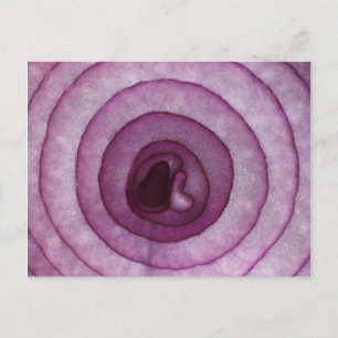 Carte Postale Oignon