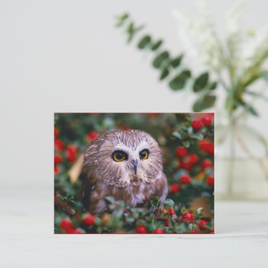 Carte Postale oignons (Debout devant)