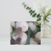 Carte Postale Oignons de marché des agriculteurs (Debout devant)